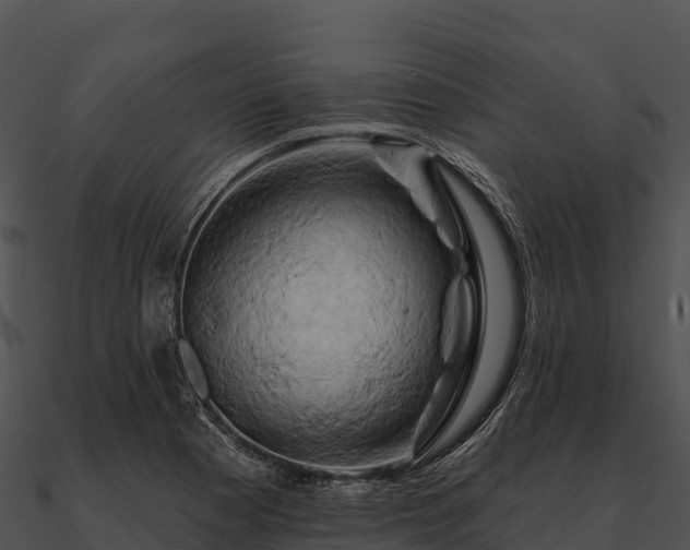 X0000090891177200708031046