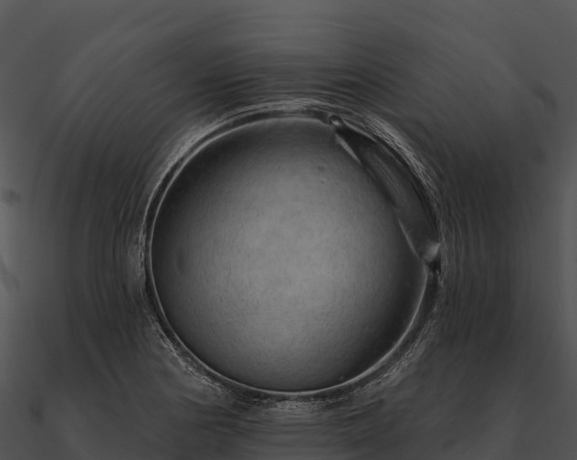 X0000090891178200708031046