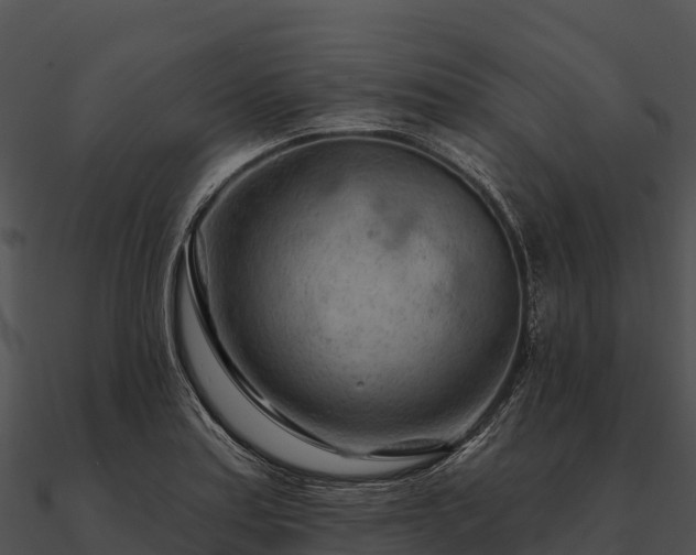 X0000090891179200708031046