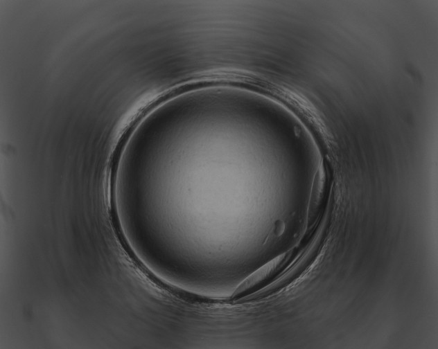 X0000090891180200708031046