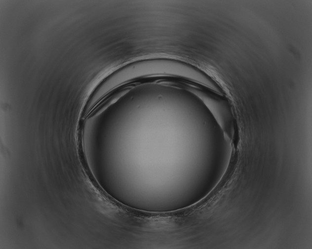 X0000090891181200708031046