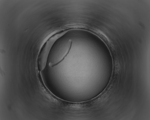 X0000090891182200708031046