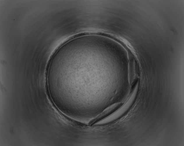 X0000090891183200708031046