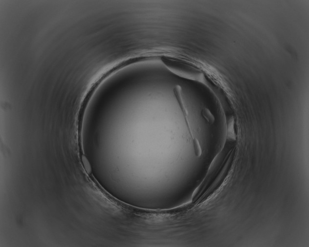 X0000090891184200708031046