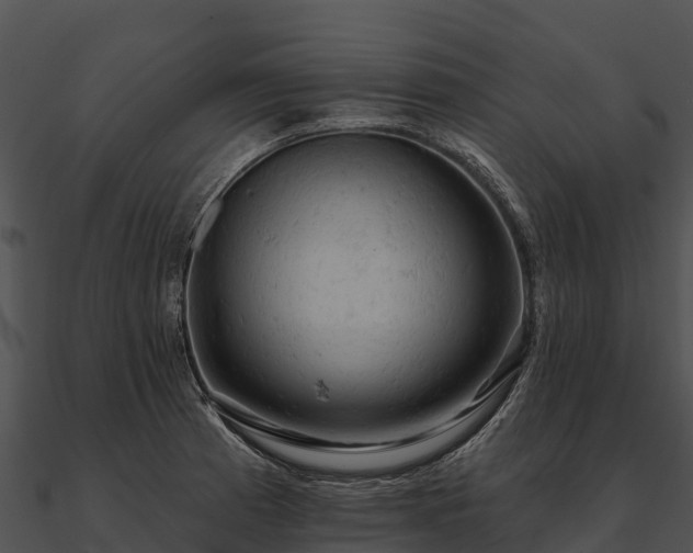 X0000090891185200708031046