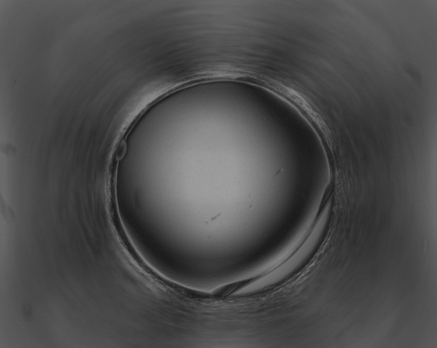 X0000090891187200708031046