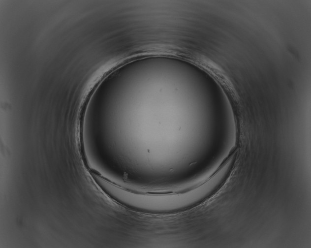 X0000090891188200708031046