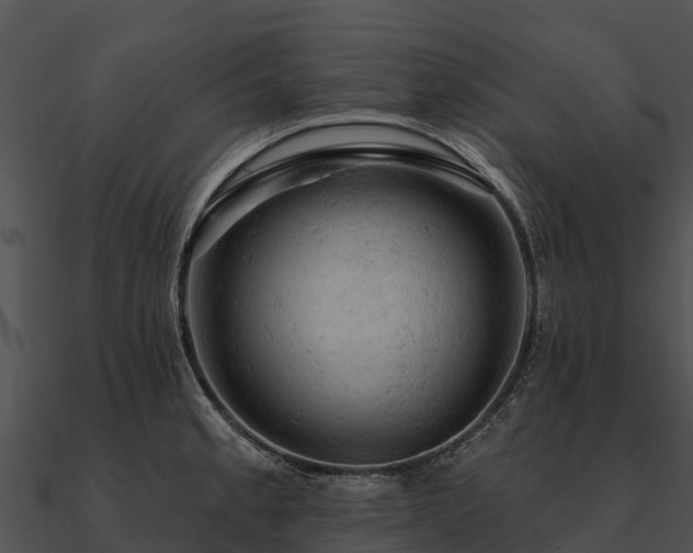 X0000090891189200708031046