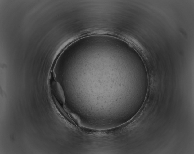 X0000090891190200708031046