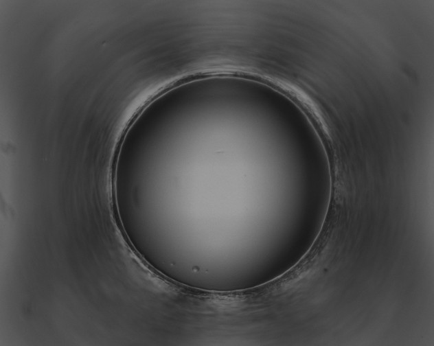 X0000090891191200708031046