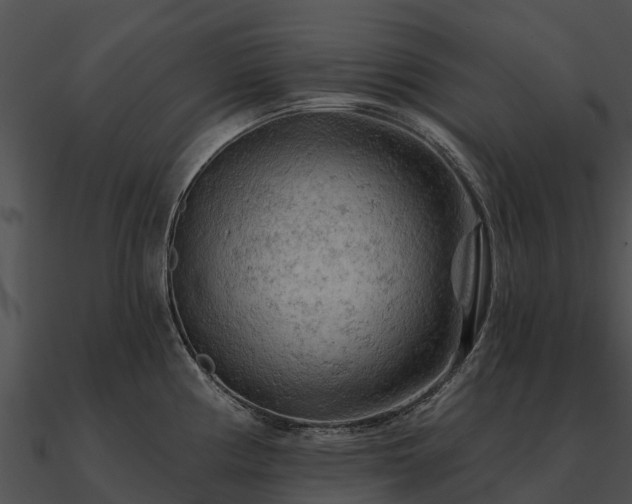 X0000090891194200708031045