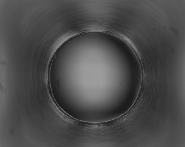 X0000090891195200708031045