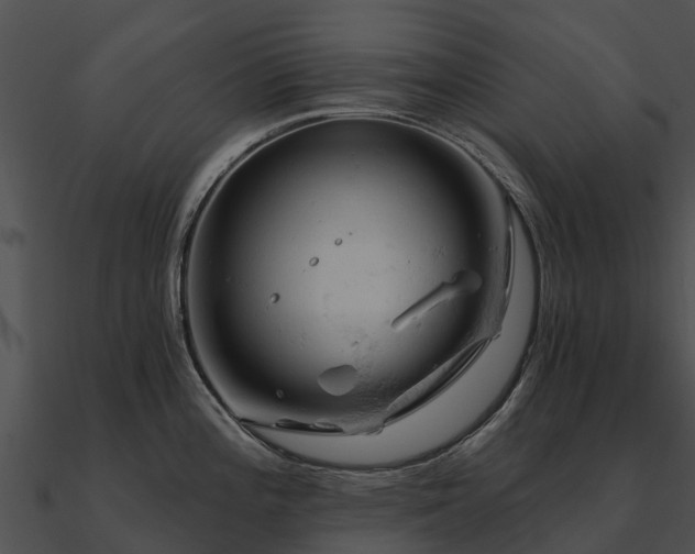 X0000090891196200708031045