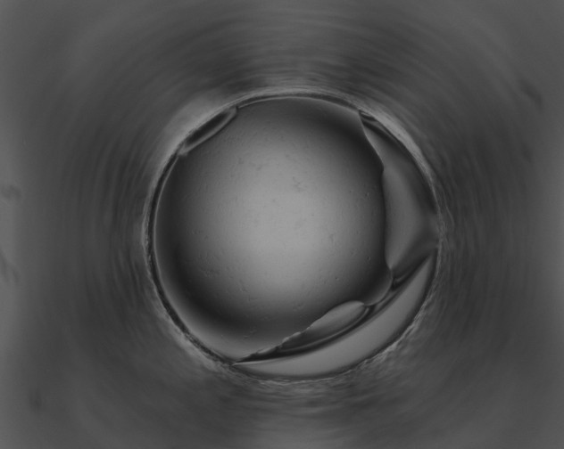 X0000090891197200708031045