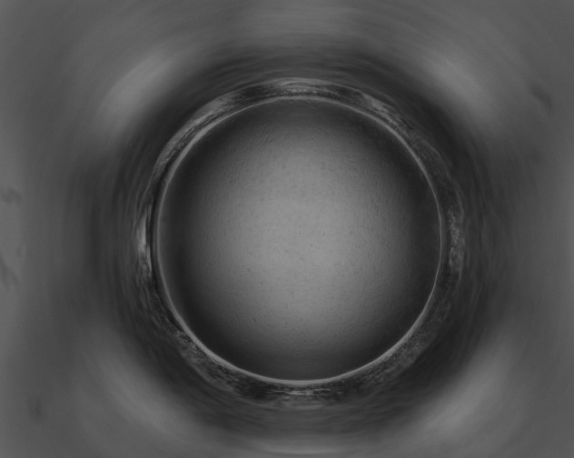 X0000090891198200708031045