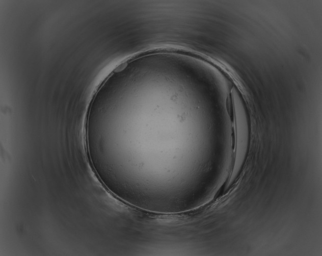 X0000090891199200708031045