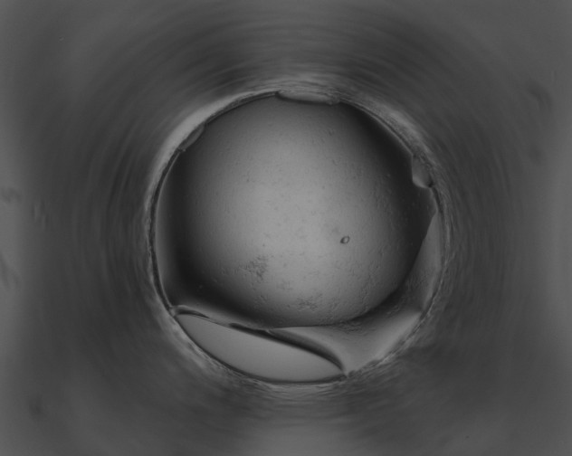 X0000090891200200708031045