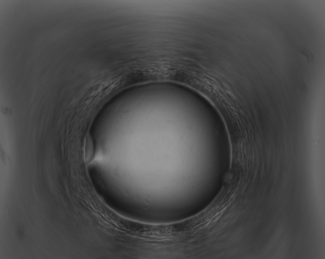 X0000090891201200708031045