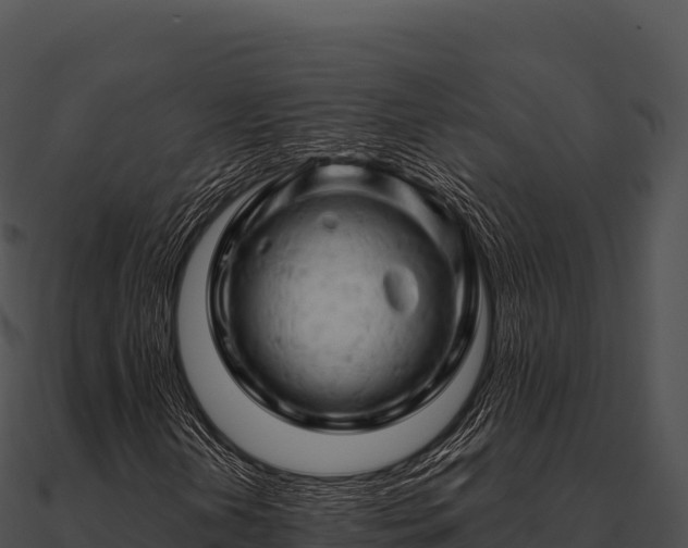 X0000090891202200708031045