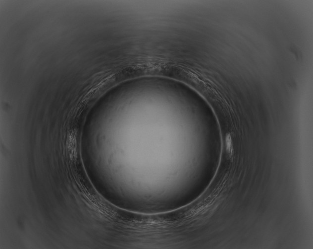 X0000090891203200708031045