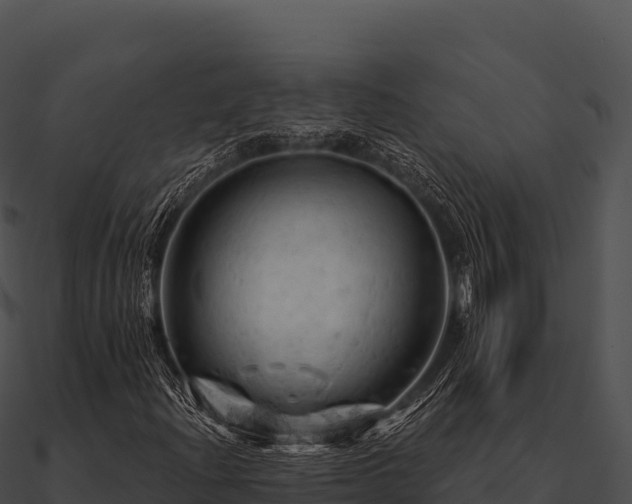 X0000090891204200708031045