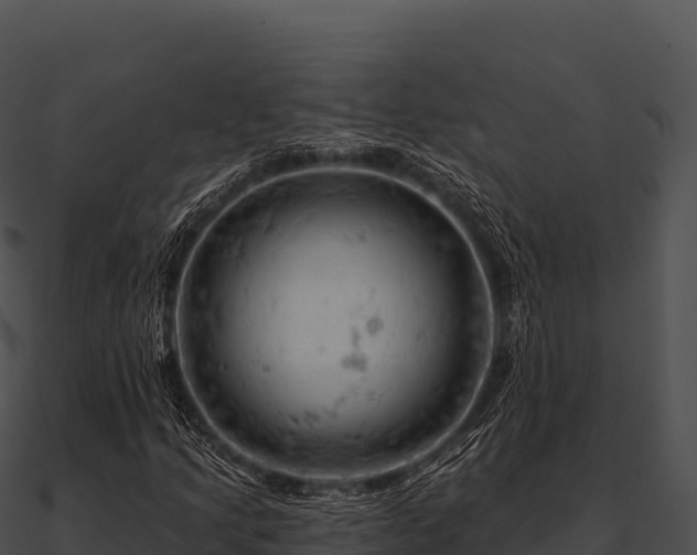 X0000090891205200708031045