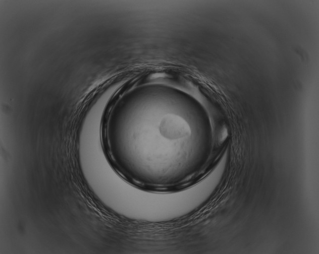 X0000090891206200708031045