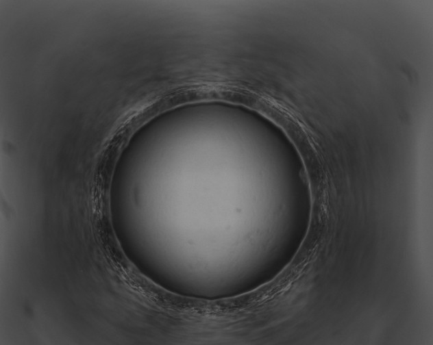 X0000090891207200708031045