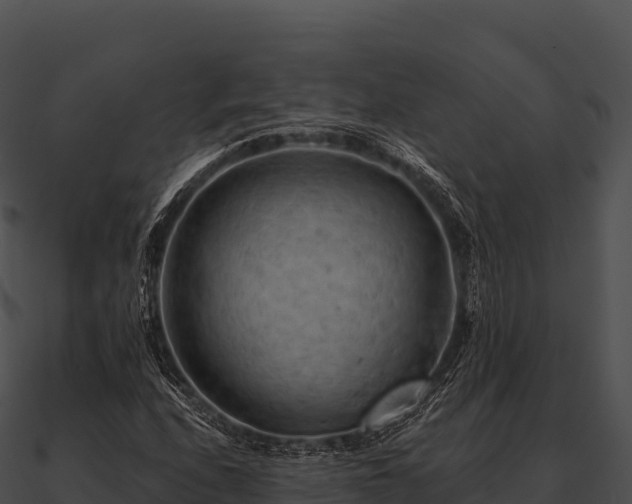 X0000090891208200708031045