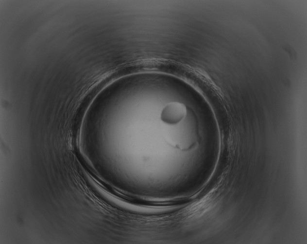 X0000090891209200708031045