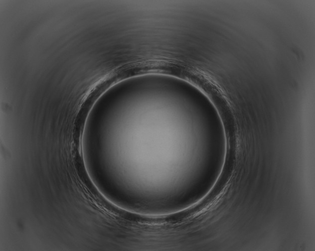 X0000090891210200708031045