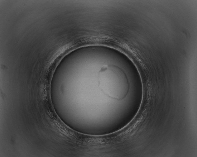 X0000090891211200708031045