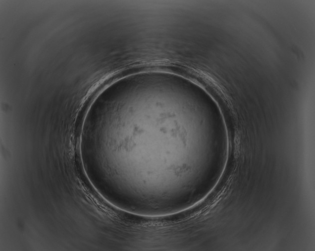 X0000090891212200708031045