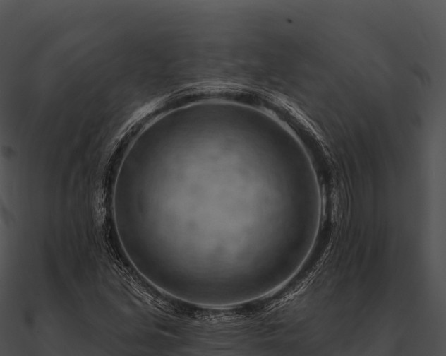 X0000090891213200708031045