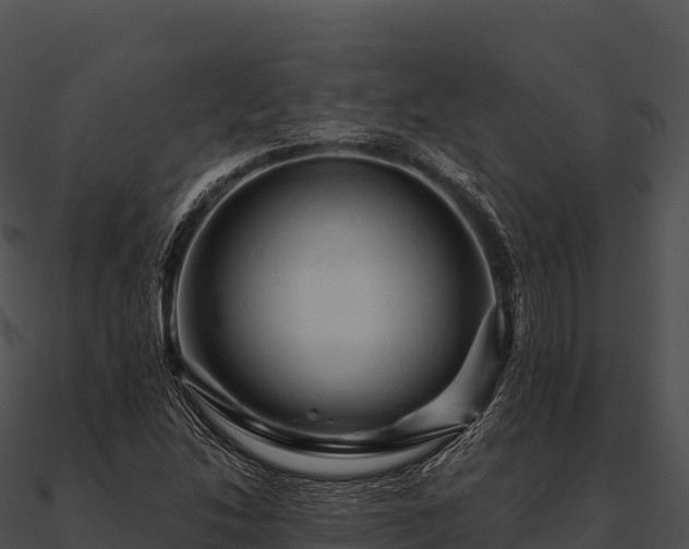 X0000090891214200708031045