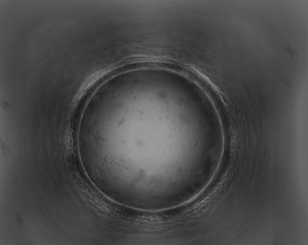 X0000090891215200708031045