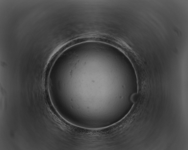 X0000090891216200708031045