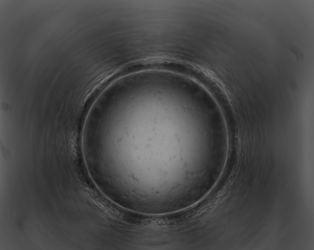 X0000090891217200708031045