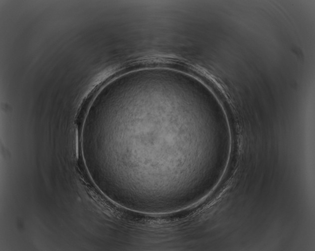 X0000090891219200708031045