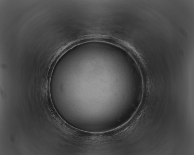 X0000090891220200708031045