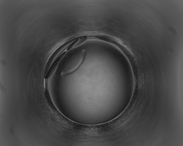 X0000090891221200708031045