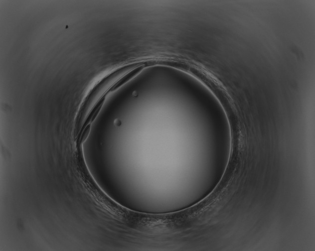 X0000090891222200708031045