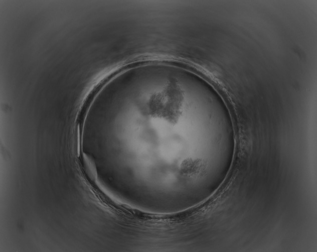 X0000090891223200708031045