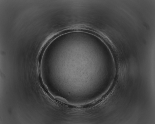 X0000090891224200708031045