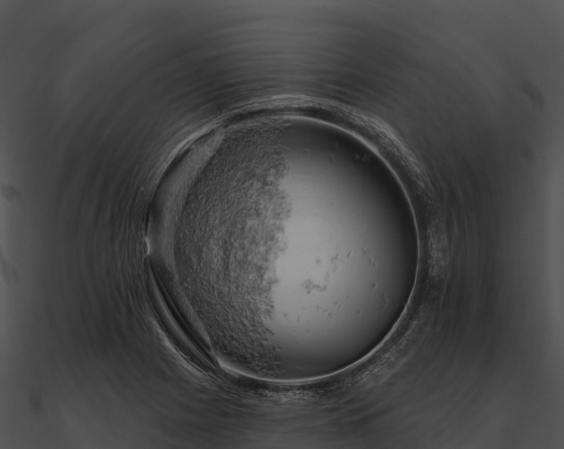 X0000090891225200708031045