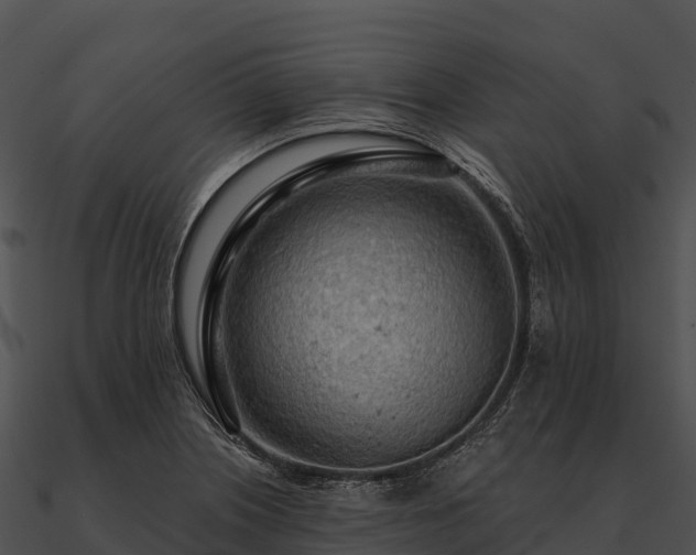 X0000090891226200708031045