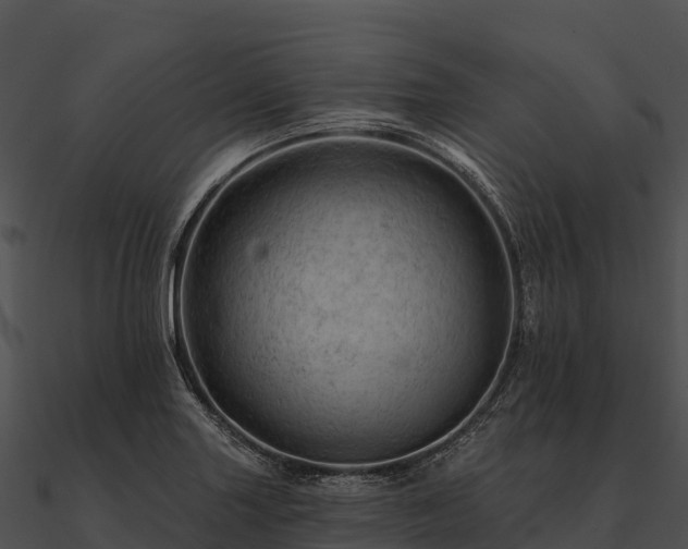 X0000090891227200708031045