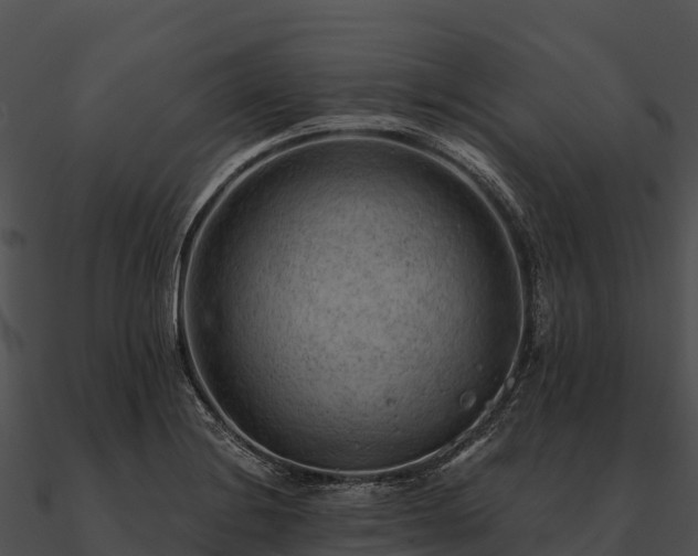 X0000090891228200708031045