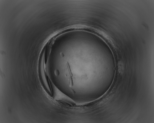 X0000090891229200708031045