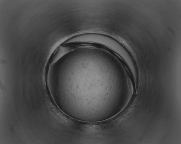 X0000090891230200708031045